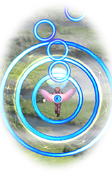 ショット画像