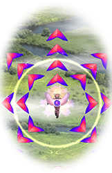 ショット画像